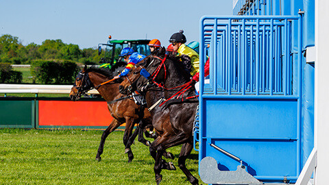 Racing Buddy