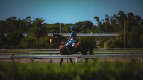 Racing Buddy